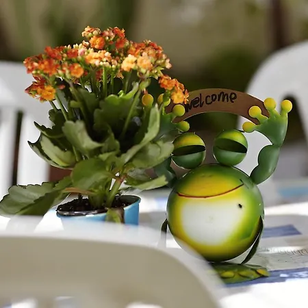 In Little House Marjan بيت ضيافة سبليت