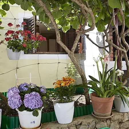 In Little House Marjan